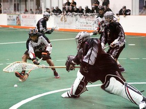 Six Nations Rebels Ian Martin beats Akwesasne Indians goalie Jake Lazore to the ball during the 2012 Ontario Jr. B  Lacrosse League final at the Iroquois Lacrosse Arena. Martin has been named the team's captain this season. (Expositor File Photo)