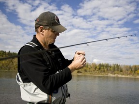 Manitobans are being encouraged to vote for a provincial fish to honour the province's rich fishing heritage. Among the contenders are the walleye, northern pike, sauger, goldeye, and nearly 80 others. The deadline to vote is Feb. 1, 2014. (FILE PHOTO)