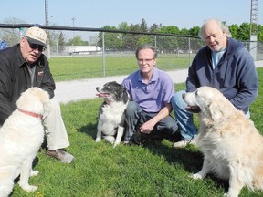 SARAH DOKTOR Simcoe Reformer
Tom Leguee, Jim Elve and Al Pallister are among a group of dog owners that gather at the baseball diamonds in Waterford daily to let their pets play. Norfolk Council approved of establishing two parks in Simcoe and Waterford.