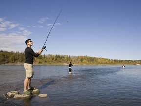 QMI Agency file photo
There is a ban on live and scented bait in all of the Grande Prairie-area rivers and streams. It’s key for anglers to know the Alberta fishing regulations before heading out.