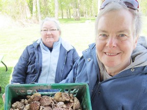 MONTE SONNENBERG Simcoe Reformer
Charter vendors at the new farmers market in Port Rowan include Sherry Hayes, left, and mushroom farmer Ruth Reimer.