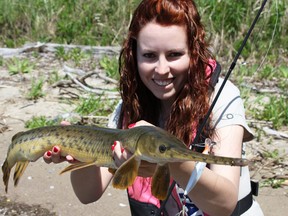 Ashley Rae displays a long-nose gar caught on the Bay of Quinte. (Matthew Heayn/For The Whig-Standard)