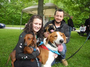 Sophie Lemay and Mike Bisson and their dogs, dachshund Brutus, hound dog Sunny and Danish shepherd Zeus took part in the annual OSPCA Weekend to Save Pets Walk at Grays Creek Conservation Area, Saturday, May 25, 2013 in Cornwall, Ont. GREG PEERENBOOM/CORNWALL STANDARD-FREEHOLDER/QMI AGENCY