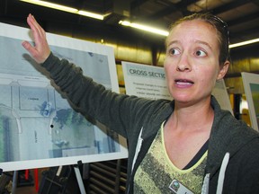Lisa Nash explains the First Avenue project during a May 23 open house.