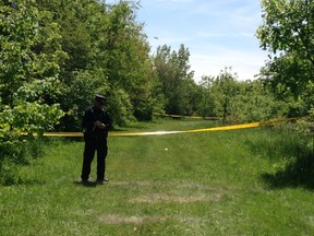 A Toronto Police officer Monday, May 27, 2013, guards the scene in a wooded area near Alliance Ave. and Cliff St. where it is believed remains of a female were found in a bag Friday. (JENNY YEUN/Toronto Sun)