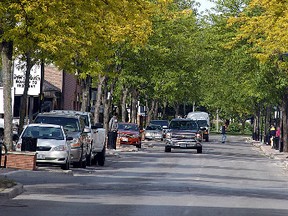 A number of trees on the south-side of James Street in downtown Wallaceburg will be removed in the next few weeks. The trees are causing the brick planters they are in to crack and break. The trees will be replaced.