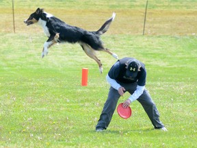 Bill Lindy of Brockville and his two-year-old border collie Rip, take part in a High Flying Canine demonstration in Trenton Saturday during the annual Barks by the Bay dog festival and fair.
EMILY MOUNTNEY/TRENTONIAN/QMI AGENCY