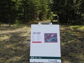 Cougar Sign in Banff