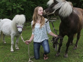 Vera Netten, 13, sits with Coconut, left, and Coco, a pair of minature horses her family keeps at their home in the village of Battersea. The larger horse has been at the home for six years but the family has had to relocate both horses because they were told their 1.2-acre (0.48 hectare) property is too small.
Elliot Ferguson The Whig-Standard