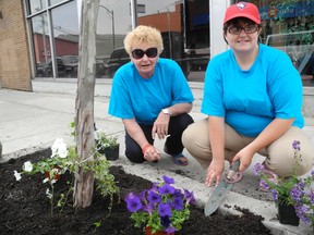 Jeannette Christ and Terri-Lynn Butler tend to one of the planter boxes downtown Simcoe on Wednesday morning. The boxes were planted in celebration of Norfolk Association for Community Living's 60th anniversary. (SARAH DOKTOR Simcoe Reformer)