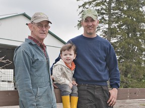 Bill Sickle (left) with his son Steve and grandson Ethan on the family farm north of Brantford. Steve is a 7th generation farmer in the Brant County area. (BRIAN THOMPSON Brantford Expositor)