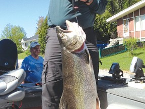 Ron Roy, an Elliot Lake angler, holds up his prize catch, a 46-pound lake trout. He caught the monster laker on Flack Lake on Sunday.
Photo submitted