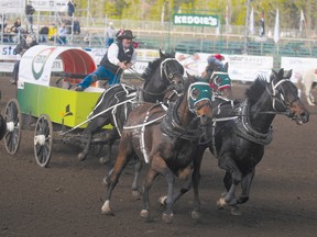 TERRY FARRELL/Herald-Tribune staff
World Professional Chuckwagon Association legend Kelly Sutherland rounds the barrels en route to a heat win on opening night of the Grande Prairie Stompede.