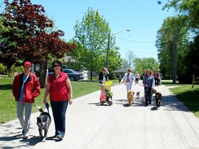 The Tiverton and District Lions Club hosted the annual Walk for Dog Guides on May 26, 2013. Over $4,000 was raised and over eight people registered for the walk in Tiverton. (ALANNA RICE/KINCARDINE NEWS)