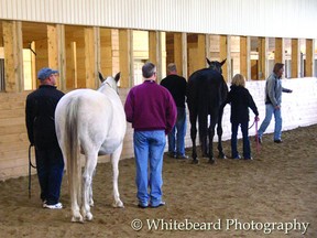 The Fort Saskatchewan-based War Horse Awareness Foundation is seeking out volunteers for its September symposium. The organization works to help front-line responders who have faced traumatic experiences in the line of duty. Photo Courtesy Whiteboard Photography.