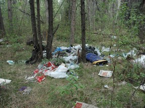 Garbage left behind by people calling the Spruce Grove ParticiPark home. Residents who live nearby are concerned that the squatters activity will lead to an out of control fire or cause potential harm to children playing in the area. - Brandi Morin, Reporter/Examiner