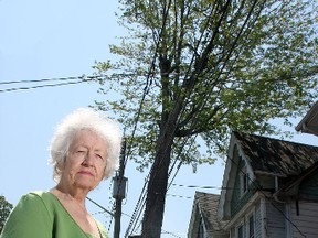 Ellen Mhunt fears a 20-metre-high hollow and rotted city-owned tree will soon fall on her home or the homes of her neighbours.
Ian MacAlpine The Whig-Standard