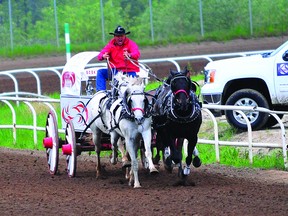 The champion of the 2013 Grande Prairie Stompede Rick Fraser bolts to the finish line Sunday, June 2, 2013. Fraser won the World Professional Chuckwagon Association Dash for Cash with a time of 1:17.81. AARON HINKS/Daily Herald-Tribune/QMI Agency