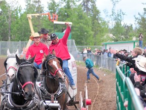 The champion of the 2013 Grande Prairie Stompede Rick Fraser throws a fist into the air as a fan tries to reach him Sunday, June 2, 2013. Fraser won the World Professional Chuckwagon Association Dash for Cash with a time of 1:17.81. AARON HINKS/Daily Herald-Tribune/QMI Agency