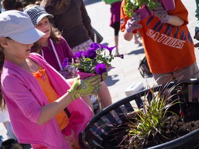 Fourth Graders at St. Martha Catholic School prepare to plant some flowers.
Sam Koebrich/For the Whig-Standard