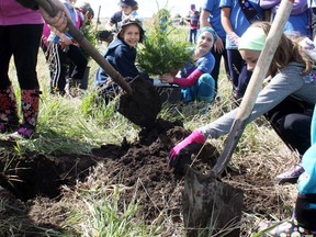 Girl Guides Zoe Cinnamon and Maggie Smith get set to put a tree into the ground as 60 trees were planted at the Cochrane Ranche Historic Site, June 1.