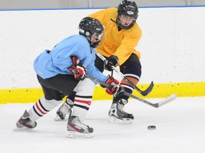 There are a number of options available to help families who feel they may not be able to afford to have their child participate in minor hockey. (DHT file photo)