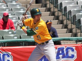 Larry Balkwill at bat for Sienna College during the 2013 MAAC championship tournament.