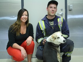 Parkland County bylaw services support clerk Mackenzie Blackburn (left) poses with Glen Arcand and his dog Diego when the two were reunited with the help of social media after the dog was reported stolen last week. - Photo Submitted