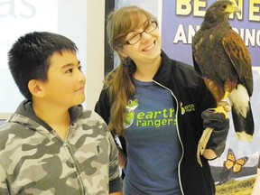 Earth Ranger Jessica Larochelle shows off Linus, a harris hawk, while Marcus Moquien, a Grade 5 student at East Front Public School, looks on.Staff photo/CHERYL BRINK