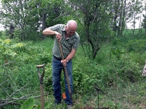 Jim Fitzgerald, a co-ordinator at the Master Gardeners of Ontario, plants a ceremonial tree Saturday to celebrate the expansion of the arboretum situated on the grounds of the historic Fryfogel Tavern. (MELANIE ANDERSON, For The Beacon Herald)