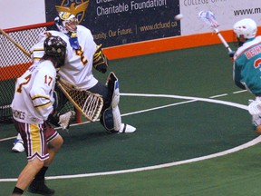 Kasey Biernes of the Six Nations Pro-Fit Chiefs shoots on goalie Ryan Masters of Brampton Excelsiors on Sunday during Major Series Lacrosse action at the Iroquois Lacrosse Arena. (Darryl G. Smart, The Expositor)