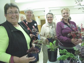 Kincardine and District Horticultural Society held their annual Flower Show at St. Anthony's Church Monday, June 3,2013. Society members Nancy Thomson, Karen Landers, Anna Veenman and Joanie Gauthier shop for new additions for their gardens. (AVERY LAFORTUNE/KINCARDINE NEWS CO-OP)