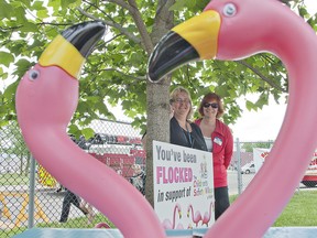 Vicki Spadoni (left), development manager at the Children's Safety Village, and volunteer Karen Piovesan brought the centre's newest and most unique fundraising activity to the Kids Street Festival on Saturday. During the months of June and September, Spadoni will bring a flock of plastic flamingoes to a person's front yard, and for a $20 donation the homeowner can direct where the flock is to be placed next. (BRIAN THOMPSON Brantford Expositor)