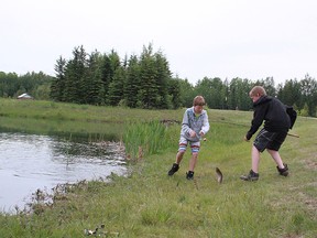Tyson Nakucyj, 13, helps his brother, Matthew Nakucyj, 14, catch his first rainbow trout at Rotary Park pond on Thursday, June 6. See story on page 35.
Celia Ste Croix | Whitecourt Star