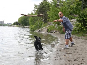 Mike Gilbert throws a stick for his dog, Kaylee, at the main beach at Bell Park in Sudbury, ON. on Tuesday, June 11, 2013. JOHN LAPPA/THE SUDBURY STAR/QMI AGENCY