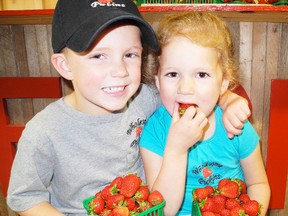 Ryan VanDeVelde, 4, and his sister Emily VanDeVelde, 3, show off some of their family farm's strawberry haul, which will be available at Delhi's Strawberry Festival on June 15. Wholesome Pickins, owned and operated by the VanDeVeldes, will have strawberries at the corner of James Street and Main Street during the festival. (SARAH DOKTOR Delhi News-Record)