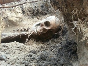 The bones of an Aboriginal woman unearthed in a Point Edward backyard have been reinterred in the Aamjiwnaang Cemetery. SUBMITTED PHOTO / THE OBSERVER / QMI AGENCY