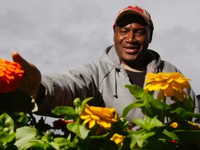 Paul McDonald of Jackie's Market Stand displays zinnia flowers at the Belleville Farmers' Market Thursday.