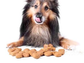 dog treats