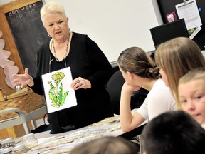 Carol Pelletier, of Kettle Point, explains the nutritional and medicinal properties of the every day dandelion to a group of Indian Creek Public School students during First Nations Celebration Day, Friday June 14, 2013, in Chatham, On. (DIANA MARTIN, Chatham Daily News)