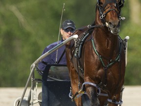 Trainer Tony Alagna takes favourite Captaintreacherous for a workout in preparation for the $1-million North America Cup. (MICHAEL BURNS)