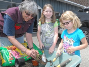 Dottie Smith, president of the Delhi & District Horticultural Society, showed Tayler Bellingham, six, and her sister Ashlynn Bellingham, five, both of Oshawa, how to plant a strawberry plant at the Strawberry Festival held Saturday, June 15, 2013 in Delhi. The Bellingham sisters were visiting their grandparents Paul and Shirley Murray of Delhi. (DANIEL R. PEARCE Simcoe Reformer)