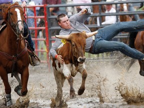Cattle roping action during Quinte Rodeo at Quinte Exhibition Fairgrounds in Belleville, Ont. Sunday, June 16, 2013. JEROME LESSARD/The Intelligencer/QMI Agency