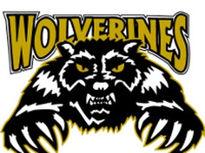 wolverines