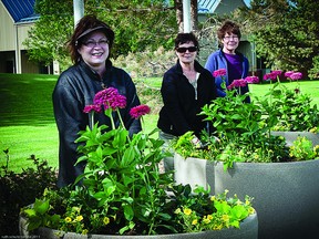 Delie Souliere, Cec Slupek and Faye Strashok are working for the local Communities in Bloom effort. Photo Supplied