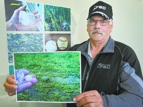 As the summer hail season begins, Brian Tainsh, Agriculture Financial Services Corporation (AFSC) on-farm inspections manager, shows photos of the record hail that last year triggered close to $450 million dollars in crop damage across Alberta including Lac Ste. Anne County.