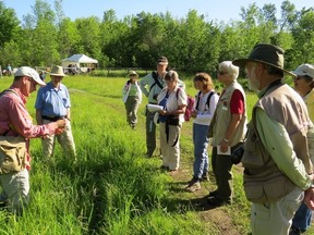 Members of the Kingston Field Naturalists and friends and family members, took part in the annual Bioblitz on Friday and Saturday, identifying close to 400 species.