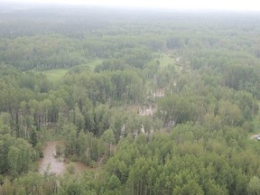 Forests located near the search area for a missing Lac La Biche man shows how overflowing rivers flooded much of the search area's low-lying woodland at the time of the disappearance. SUPPLIED PHOTO/WOOD BUFFALO RCMP