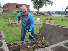 City environmental sustainability manager Michelle Gairdner turns over a compost pile at the Community Garden last year. The city is offering a course on composting this evening at the Community Garden from 6:30-8:30 p.m. (DHT File Photo)