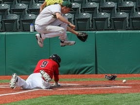 Sherwood Park Midget AAA Dukes pitcher Reign Letkeman hurdles over a Red Dawgs baserunner at home plate to get to the ball during one of a pair of recent losses to the Dawgs at Tourmaline Field in Okotoks.Photo Courtesy Michael Moskaluk